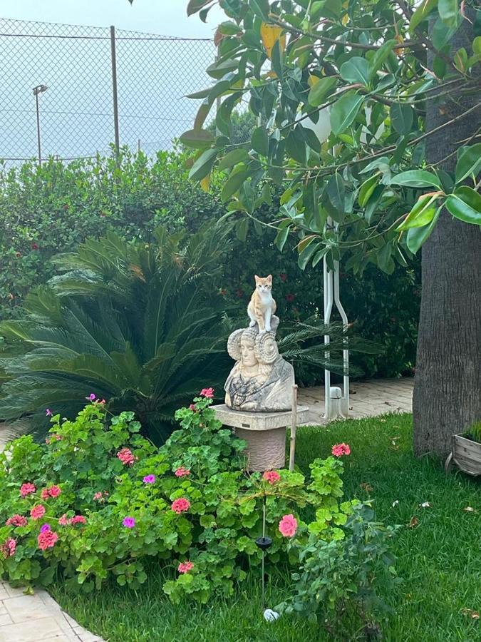 Romantico Wellness Casa Veronica Elche Luaran gambar