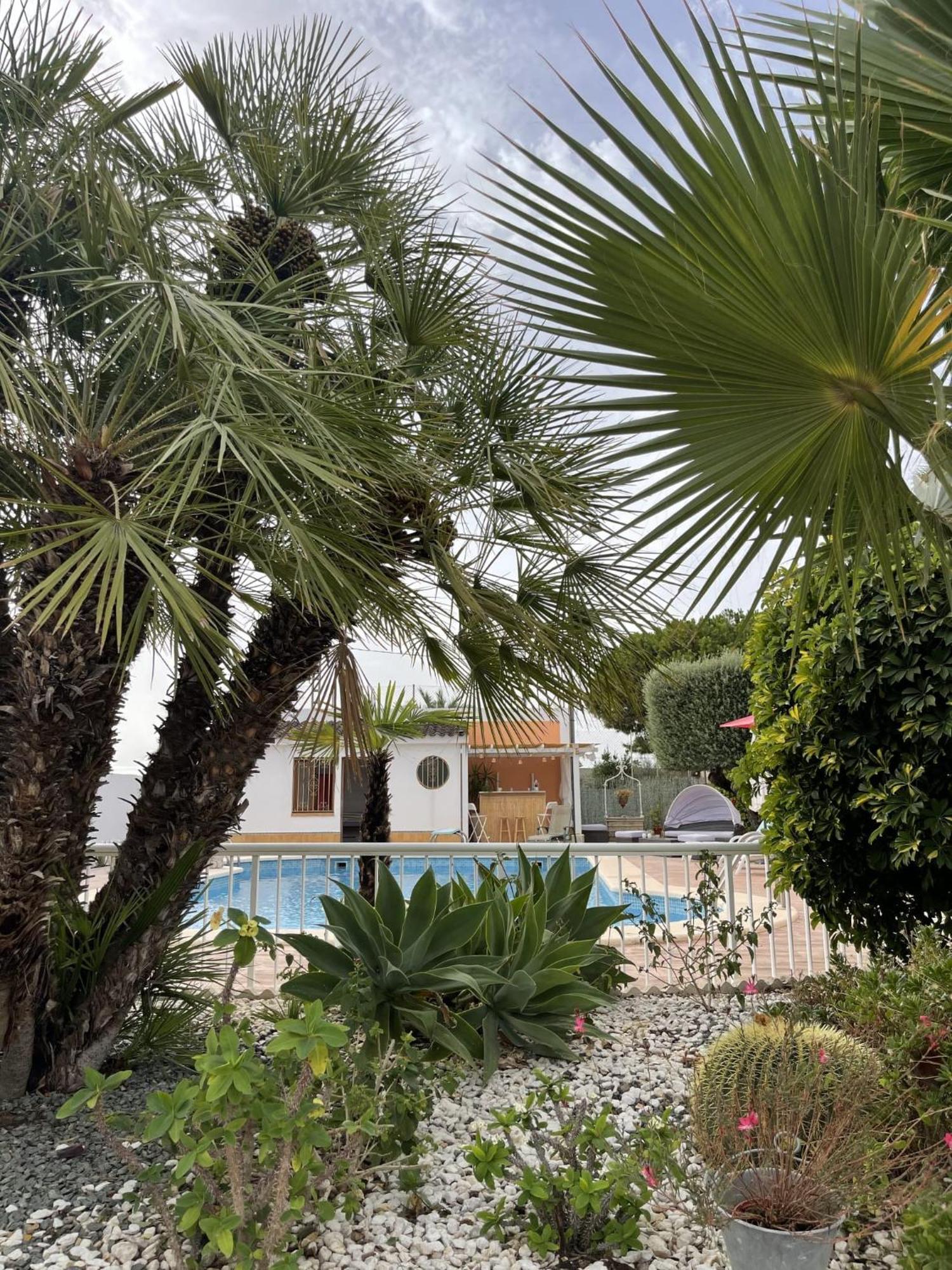 Romantico Wellness Casa Veronica Elche Luaran gambar